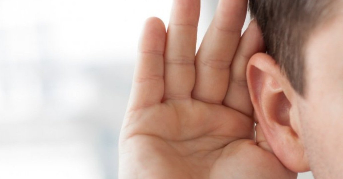 How Sound is Perceived and Processed by the Human Ear